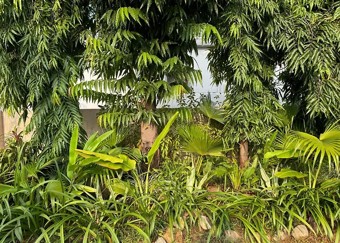 The Bougainvillea Cottage Farmstay Near Dehradun , 2 Bedroom Private Cottage Next To Fields And Orchards With Hill Views