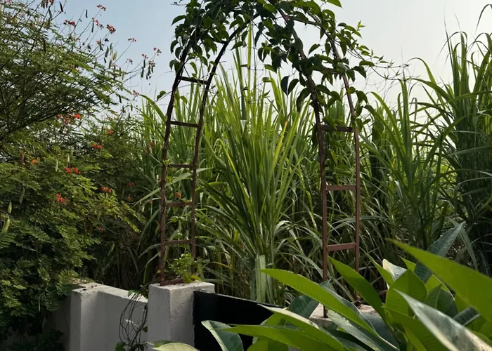 The Bougainvillea Cottage Farmstay Near Dehradun , 2 Bedroom Private Cottage Next To Fields And Orchards With Hill Views