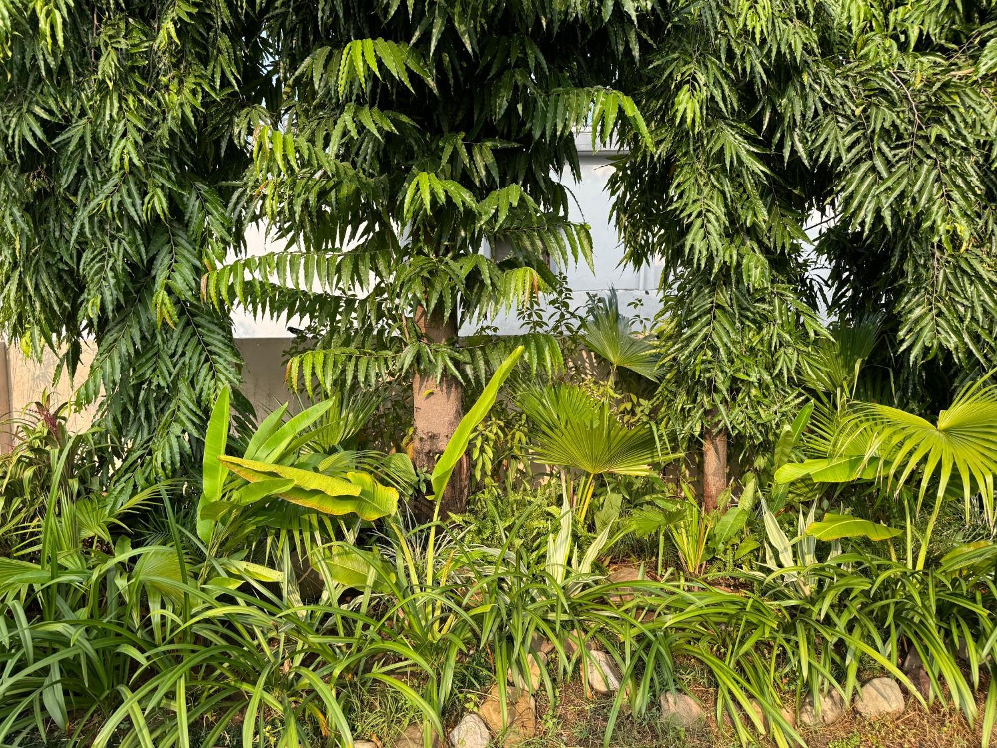 The Bougainvillea Near , 2 Bedroom Private Next To Fields And Orchards With Hill Views