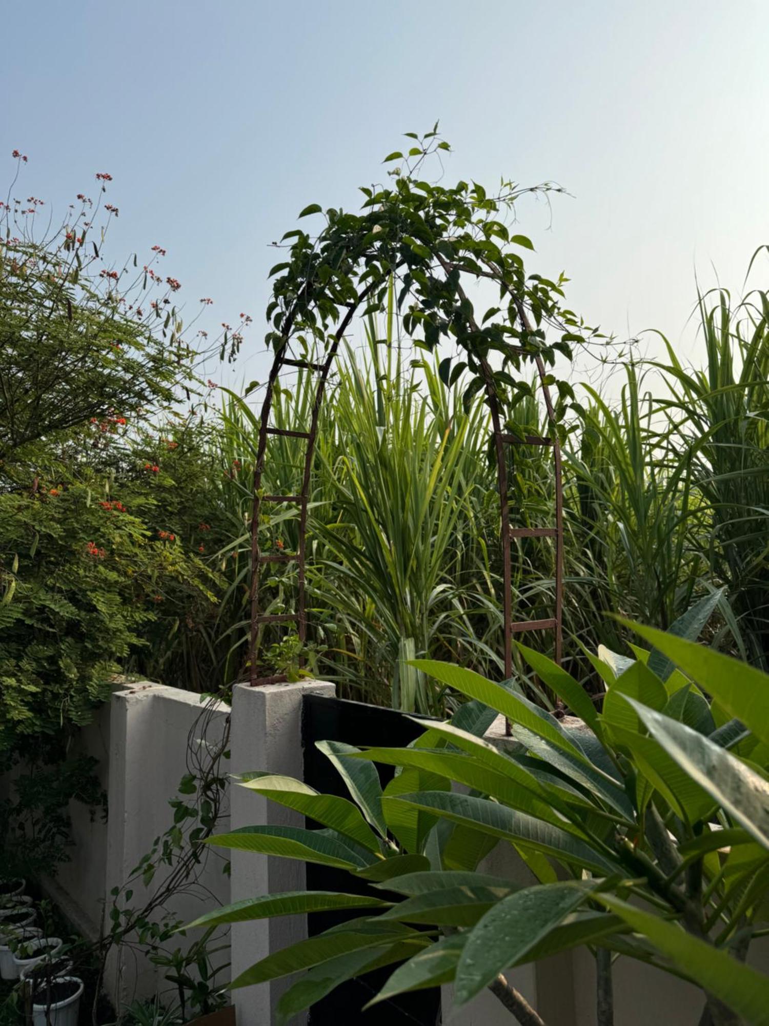 The Bougainvillea Near , 2 Bedroom Private Next To Fields And Orchards With Hill Views Farm stay Dehradun