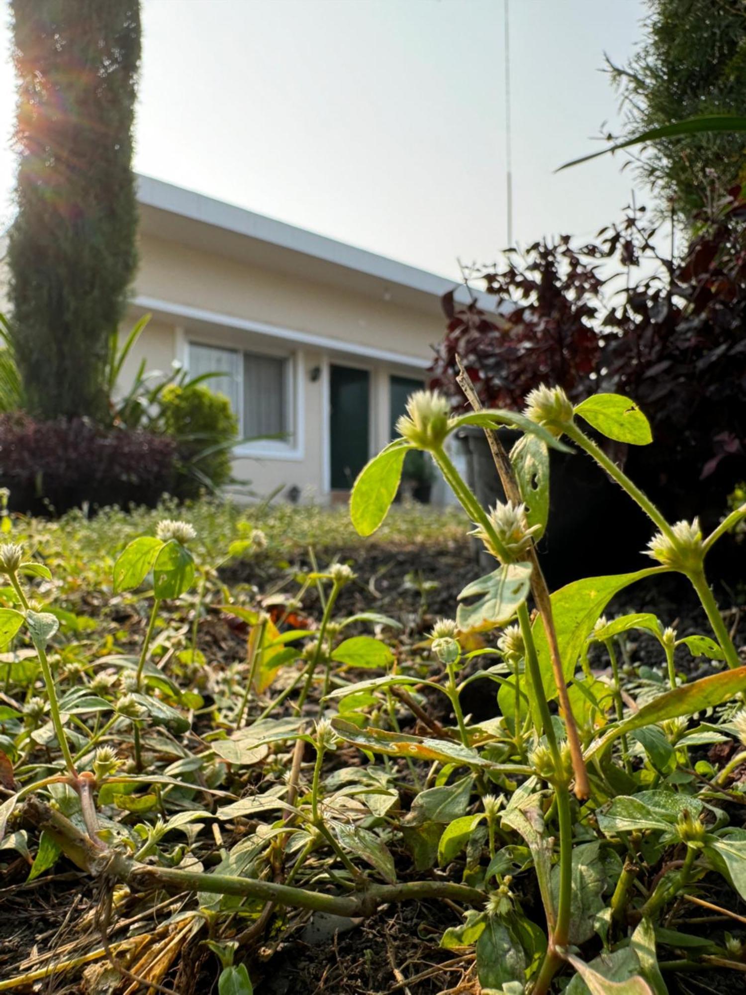 The Bougainvillea Near , 2 Bedroom Private Next To Fields And Orchards With Hill Views Farm stay *