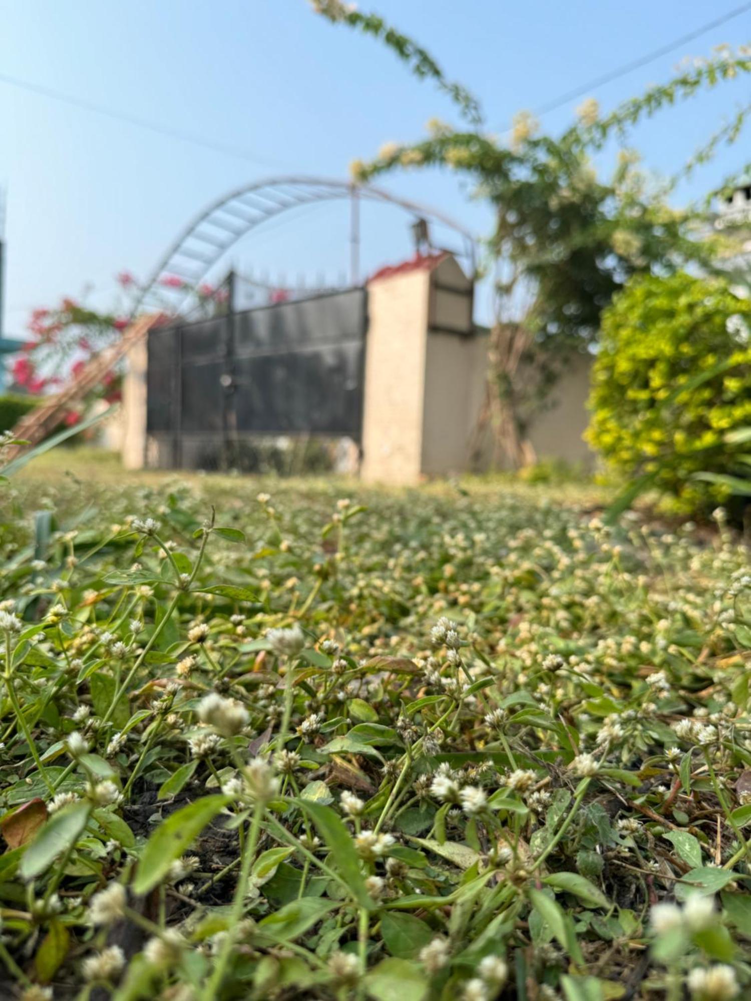 The Bougainvillea Near , 2 Bedroom Private Next To Fields And Orchards With Hill Views * Dehradun